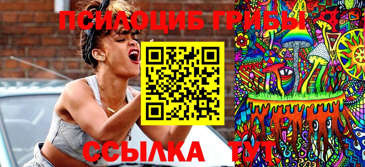 Жигулёвск  Псилоцибиновые грибы прущие грибы  Вход с VPN 